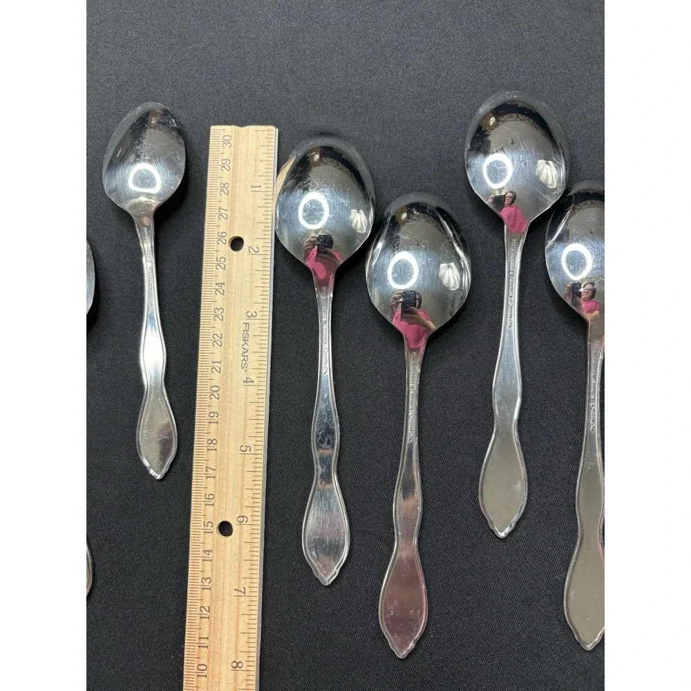 Oneida 1881 Rogers TWILIGHT Burnished Stainless Teaspoon Tablespoon Lot 13